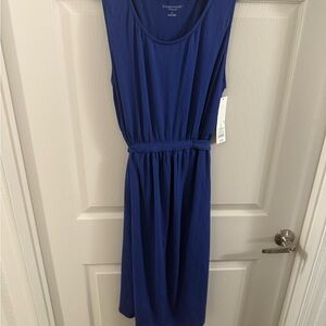 Liz Lange Maternity for Target Blue Knit Dress